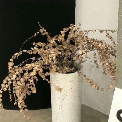 兽设赛博风格设计福瑞交流群